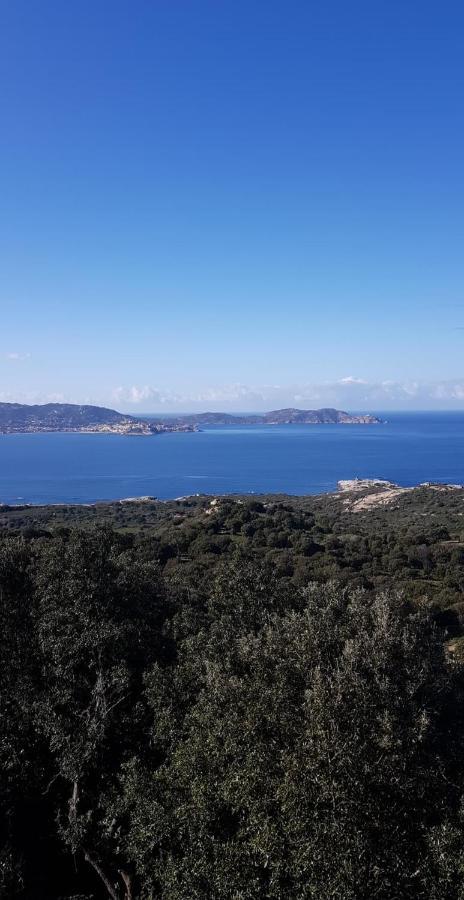 Camping Monte Ortu Lumio (Corsica) Exterior foto