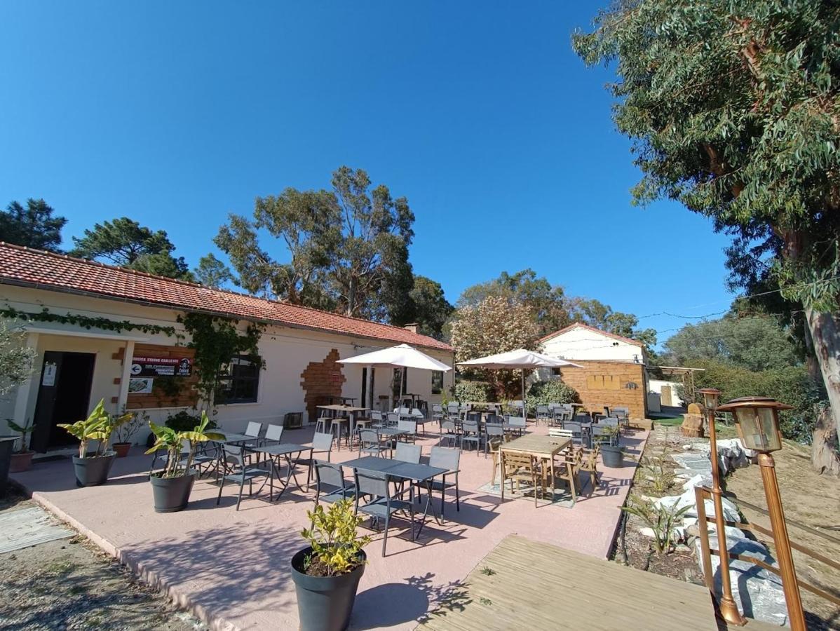 Camping Monte Ortu Lumio (Corsica) Exterior foto